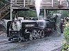 Dobwalls Park locomotive