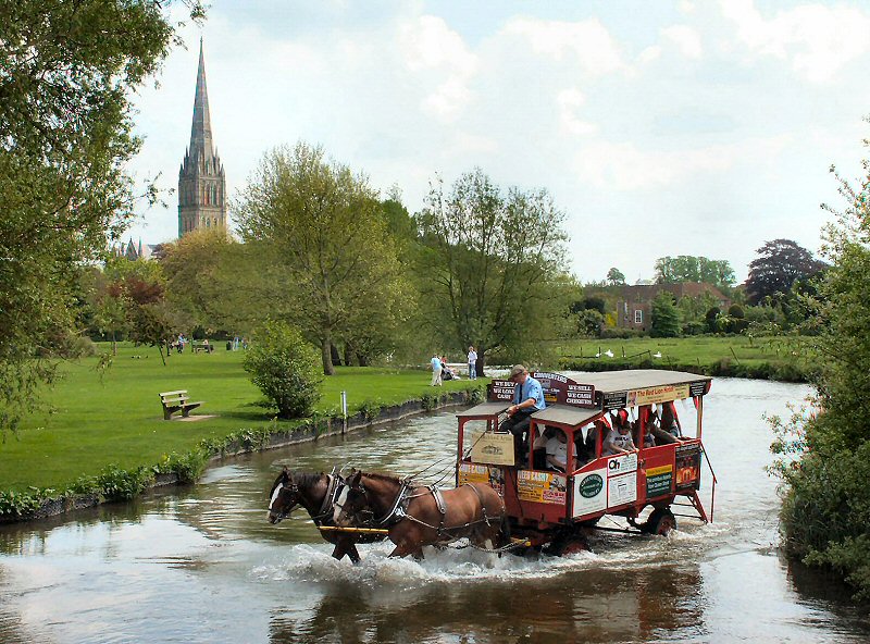 Horse drawn omnibus - Salisbury, Wiltshire